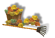 Leaves and a rake