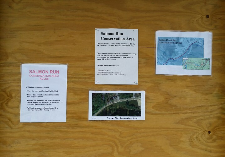 Salmon Run rules and maps