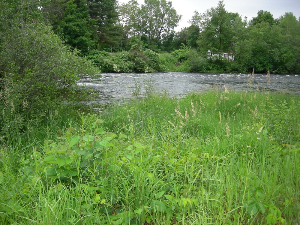 Looking across the Winnipesaukee River at Northfield