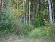 Buffalo Park entrance