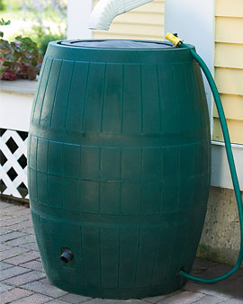 Rain Barrel