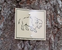 buffalo trail marker